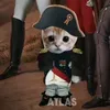 napoleon81g