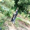 lina.hendrawati
