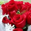 user2071943084395