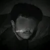anas_ex96