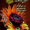 user99127041258213