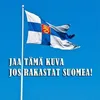arilainen.aram