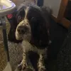 baileyboy832