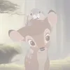 rosiee_330