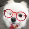 yyaxuan_127