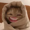 haq_258