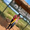 shiru.carol3