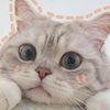 lovers_cat432