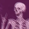skelly_hen