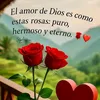mart_rami1