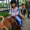 sy4qilaw