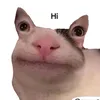 tiktok_anna.369