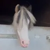 eqchloexx7