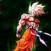 songoku588