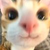 its__dwii