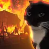 just_some_space_cat