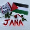 janaabdelrahman31