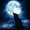 sam_09sw