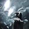 skyexqbeats