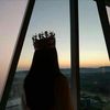 shosh_a1412