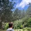 nicolas_arranz
