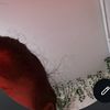 kelsyk77