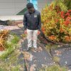 chris.e231