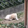coolgirl_11223344