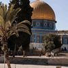hasni.kamel