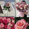sumyat6303