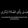 user6517572095619
