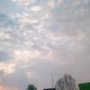 zelll_247