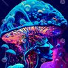 shroomybrain