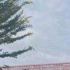 asyaa_915