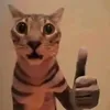 0kieldepdob0