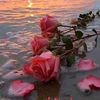 nawe.fleur