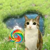 catluverever