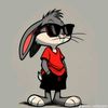 amirali_vns