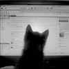 leer0012