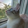 natilucky8