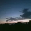 vilmamagalay