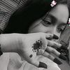 user5333930313117
