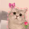 coi_nhu_la_vay_di
