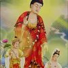 hong.bp54