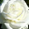 user48198335612180