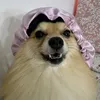 dornellesinho
