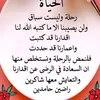 user17733061983656