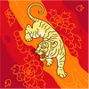 khan.mohgmail.com