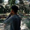 jonijonigmail.co3