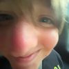 thefifthspider
